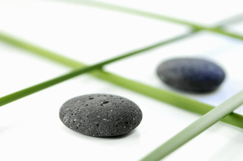 无人,横图,俯视,室内,特写,白天,白色背景,石头,植物,餐桌,桌子,两块,阴影,朦胧,模糊,反射,石子,影子,草药,药草,中药,黑色,鹅卵石,摄影,影棚,餐台,药材,中草药,按摩石,中药材,本草,莎草,地毛,薃侯,回头青,石块,彩图,高角度拍摄,影棚拍摄,拍摄