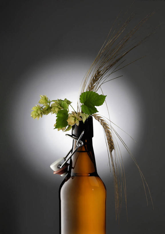 啤酒,无人,竖图,室内,特写,白天,正面,玉米,阴影,灰色背景,反射,棒子,影子,玉蜀黍,酒类,玻璃制品,酒,酒瓶,饮料,玻璃瓶,瓶子,摄影,影棚,苞米,苞芦,苞谷,包谷,大蜀黍,番麦,薏米包,玉高粱,玉麦,珍珠米,彩图,影棚拍摄,拍摄,全麦啤酒