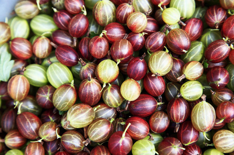 无人,横图,俯视,室内,特写,白天,浆果,水果,一堆,许多,阴影,堆叠,堆积,新鲜,反射,影子,灯笼果,生食,食品,果实,食物,有机食品,绿色食品,堆,秘鲁苦蘵,小果酸浆,醋栗,彩图,高角度拍摄