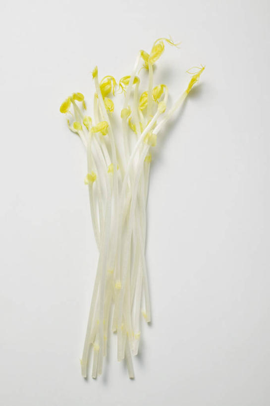 无人,竖图,俯视,室内,特写,白天,桌面,桌子,蔬菜,一堆,许多,阴影,堆叠,堆积,灰色背景,新鲜,反射,木制,影子,豆芽,黄豆芽,食品,食物,木制品,摄影,有机食品,绿色食品,影棚,堆,豆芽菜,芽苗菜,彩图,高角度拍摄,影棚拍摄,拍摄