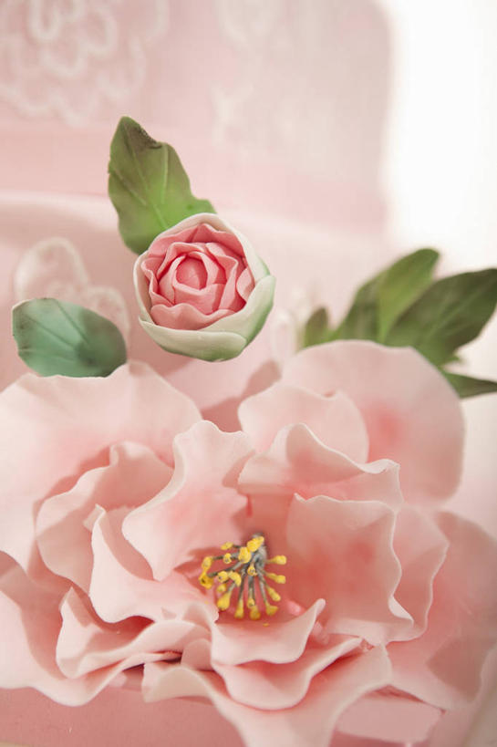 点心,无人,竖图,室内,特写,白天,正面,爱情,下午茶,幸福,纯洁,热情,玫瑰,叶子,阴影,盛开,反射,影子,食品,绿叶,玫瑰花,浪漫,花蕾,花,花瓣,花朵,鲜花,食物,糕点,粉色,花苞,花蕊,温暖,温馨,嫩叶,恩爱,和睦,感动,粉玫瑰,尊敬,天真,刺玫花,徘徊花,叶,叶片,彩图,翻糖蛋糕,融洽,蛋糕