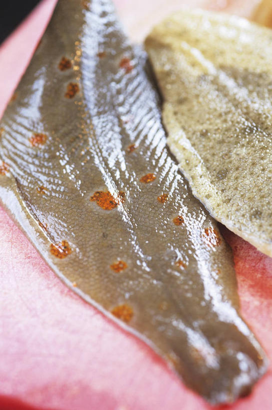 海鲜,无人,竖图,俯视,室内,特写,白天,餐桌,桌子,比目鱼,两条,阴影,反射,鱼,影子,水产,海洋生物,餐台,水生动物,海产品,水生物,海底动物,鲽鱼,半身,彩图,高角度拍摄