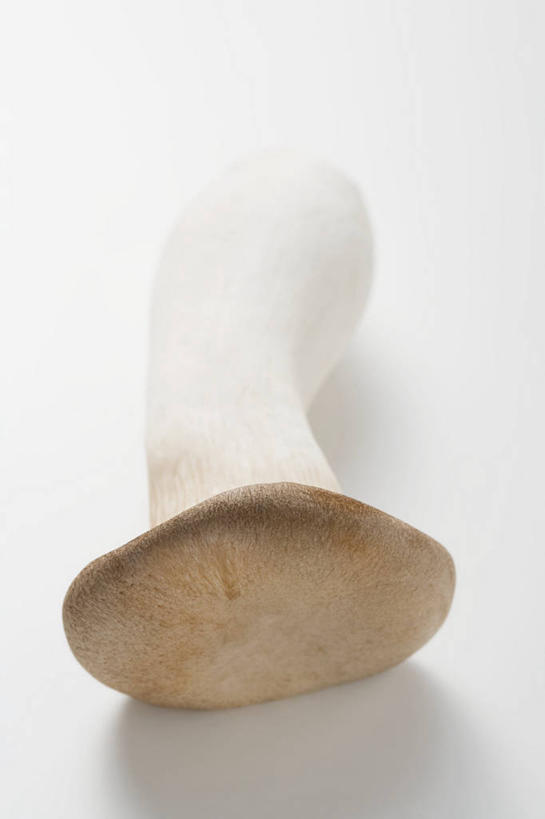 无人,竖图,俯视,室内,特写,白天,白色背景,餐桌,桌子,蔬菜,阴影,新鲜,反射,影子,菌菇,蘑菇,食品,菌类,食物,一个,白色,食用菌,摄影,有机食品,绿色食品,影棚,单个,餐台,杏鲍菇,刺芹侧耳,彩图,高角度拍摄,影棚拍摄,拍摄