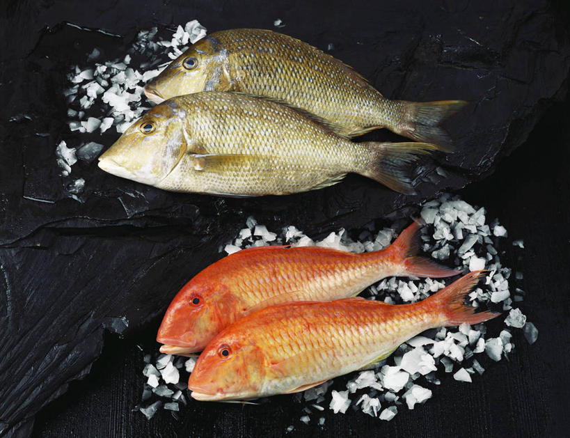 无人,躺,横图,俯视,室内,特写,白天,一排,阴影,黑色背景,整齐,反射,影子,冰,冰块,鲷鱼,冷冻,排列,四条,寒冷,摄影,影棚,冷藏,鲷,加吉鱼,铜盆鱼,冰冷,队列,班加吉,加真鲷,保鲜,卧着,躺着,卧,彩图,高角度拍摄,全身,影棚拍摄,拍摄,大西洋鲷,大西洋王鲷,金头鲷