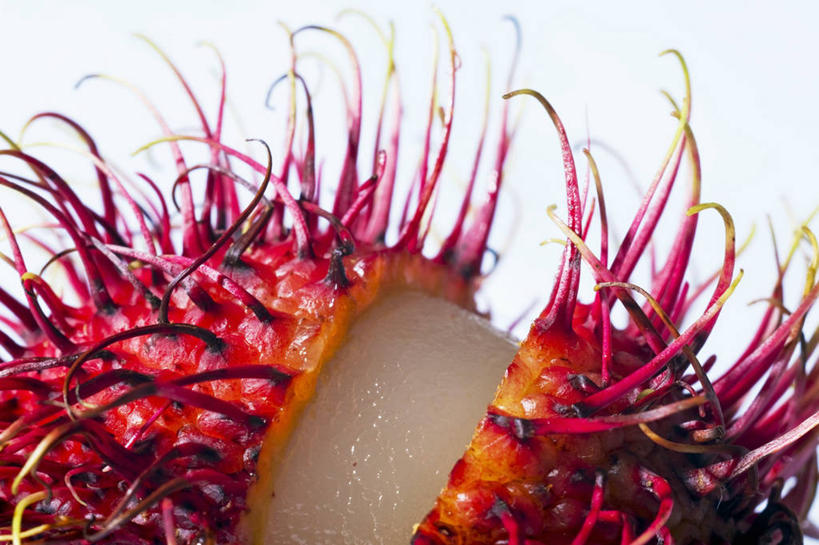 无人,横图,俯视,室内,特写,白天,白色背景,水果,阴影,新鲜,反射,影子,生食,食品,果实,一颗,食物,红色,摄影,有机食品,绿色食品,影棚,红毛丹,韶子,毛龙眼,毛荔枝,彩图,高角度拍摄,影棚拍摄,拍摄