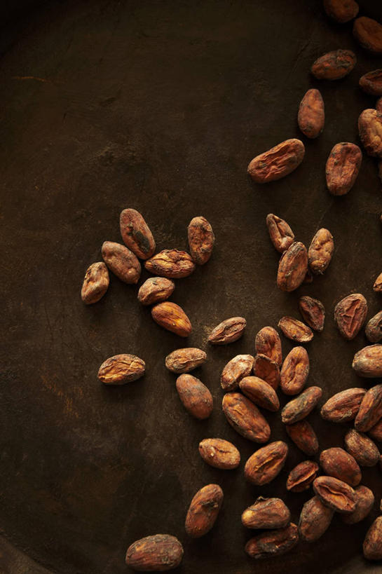 无人,竖图,俯视,室内,特写,白天,餐桌,桌子,许多,阴影,棕色背景,反射,影子,褐色,果实,种子,很多,可可,摄影,影棚,餐台,可可豆,可可子,彩图,高角度拍摄,影棚拍摄,拍摄