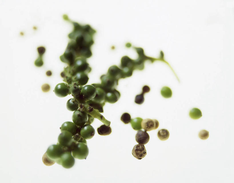 无人,横图,室内,特写,白天,白色背景,正面,许多,阴影,朦胧,模糊,反射,影子,调料,调味,香料,佐料,调味品,调味料,摄影,影棚,绿胡椒,配料,作料,胡椒,彩图,影棚拍摄,拍摄