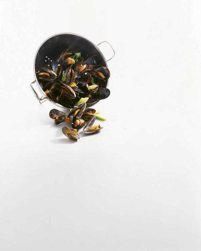 海鲜,无人,竖图,俯视,室内,白天,白色背景,餐桌,桌子,贝壳,一把,一堆,许多,阴影,堆叠,堆积,反射,滤器,影子,勺子,水产,海洋生物,摄影,影棚,餐台,堆,水生动物,海产品,贻贝,水生物,漏勺,海底动物,海虹,淡菜,壳菜,青口,彩图,高角度拍摄,影棚拍摄,拍摄