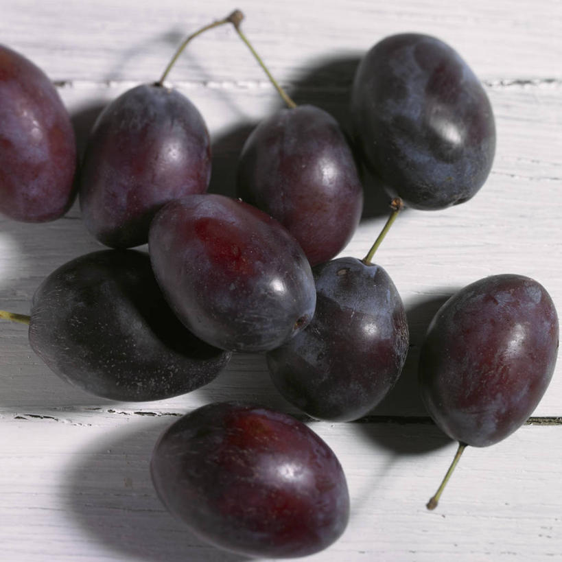 无人,方图,俯视,室内,特写,白天,餐桌,桌子,李子,水果,许多,阴影,朦胧,模糊,新鲜,反射,影子,生食,食品,棕色,果实,食物,有机食品,绿色食品,餐台,红李,鸡血李,杏李,彩图,高角度拍摄