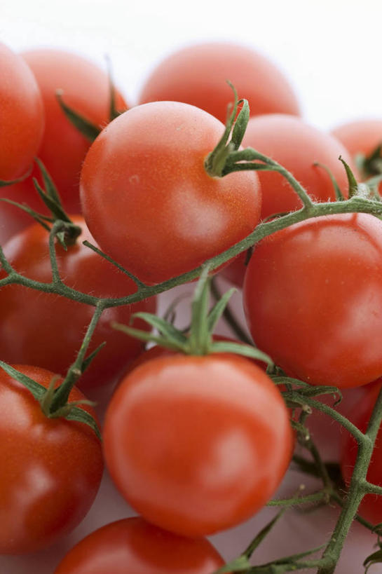 无人,竖图,俯视,室内,特写,白天,餐桌,桌子,蔬菜,西红柿,小番茄,一堆,许多,阴影,堆叠,堆积,新鲜,反射,影子,食品,食物,红色,有机食品,绿色食品,餐台,堆,小西红柿,樱桃小番茄,珍珠小番茄,樱桃番茄,圣女果,番茄,彩图,高角度拍摄