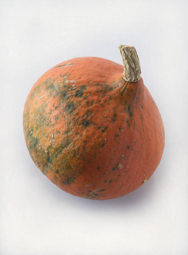 无人,竖图,俯视,室内,特写,白天,白色背景,餐桌,桌子,南瓜,蔬菜,阴影,新鲜,反射,影子,金瓜,食品,番瓜,食物,一个,摄影,有机食品,绿色食品,影棚,单个,餐台,麦瓜,倭瓜,彩图,高角度拍摄,影棚拍摄,拍摄