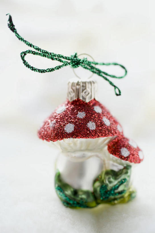 无人,竖图,俯视,室内,特写,白天,白色背景,餐桌,桌子,蔬菜,静物,圣诞节,阴影,节日,庆祝,新鲜,装饰,反射,丝绸,丝带,影子,菌菇,蘑菇,食品,缎带,菌类,文化,绸带,食物,饰品,庆典,食用菌,摄影,有机食品,绿色食品,影棚,餐台,纪念,华丽,修饰,点缀,衬托,美观,雅致,雅观,彩图,高角度拍摄,影棚拍摄,拍摄