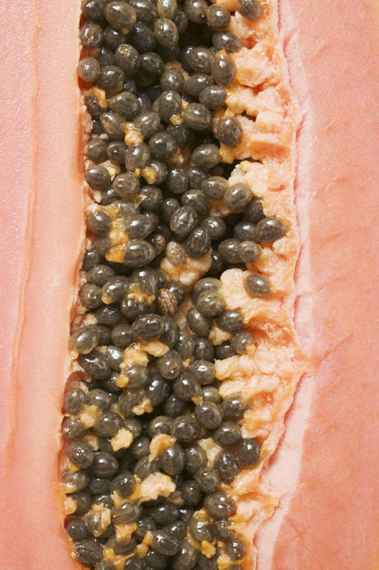 无人,竖图,俯视,室内,特写,白天,木瓜,水果,阴影,新鲜,反射,影子,生食,食品,果实,食物,一个,有机食品,绿色食品,单个,横截面,剖面,奶匏,蓬生果,乳瓜,石瓜,万寿匏,截面,截面图形,万寿果,番木瓜,彩图,高角度拍摄