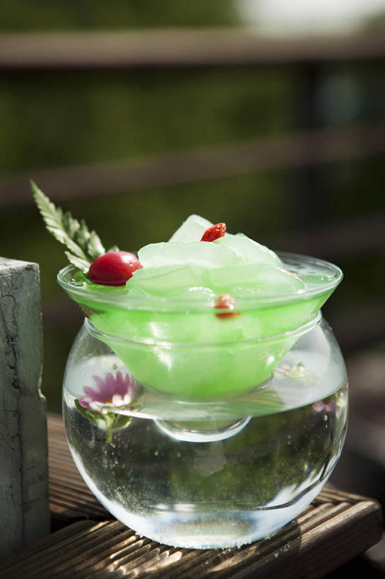 点心,无人,竖图,俯视,室内,特写,白天,水,餐桌,桌子,樱桃,水果,叶子,阴影,朦胧,模糊,新鲜,反射,液体,影子,水滴,生食,食品,布丁,甜点,甜品,果实,绿叶,玻璃制品,食物,玻璃瓶,瓶子,果冻,甜食,零食,嫩叶,有机食品,绿色食品,餐台,啫喱,叶,叶片,樱珠,莺桃,英桃,楔桃,牛桃,荆桃,彩图,高角度拍摄