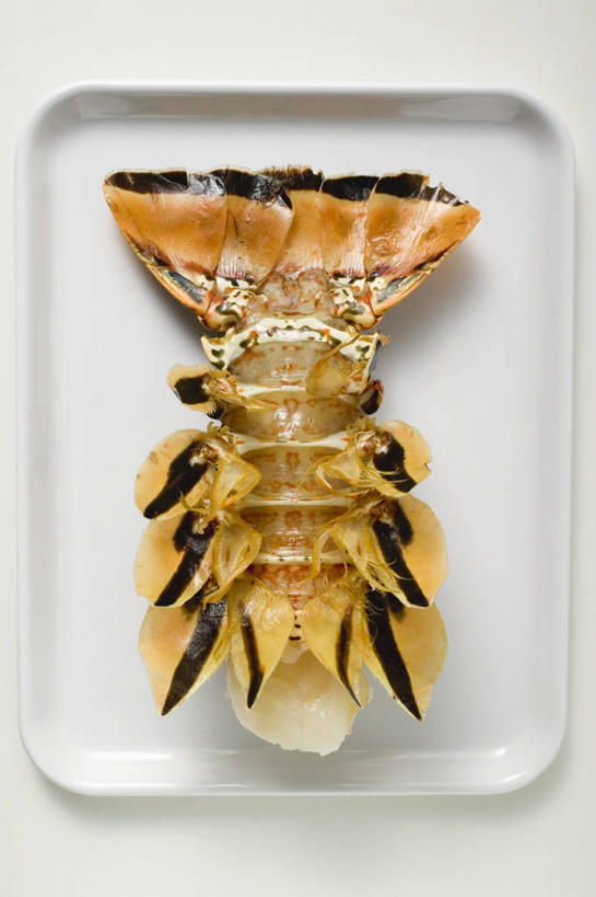 海鲜,龙虾,无人,竖图,俯视,室内,特写,白天,白色背景,餐桌,桌子,餐具,阴影,反射,碟子,盘,影子,虾,水产,海洋生物,一个,一只,白色,盘子,碟,摄影,影棚,单个,餐台,水生动物,海产品,水生物,海底动物,彩图,高角度拍摄,影棚拍摄,拍摄