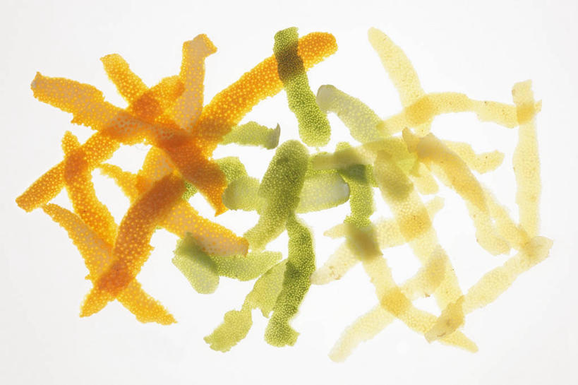 无人,横图,室内,特写,白天,白色背景,正面,柠檬,水果,许多,阴影,新鲜,反射,影子,生食,食品,果实,食物,摄影,有机食品,绿色食品,影棚,甜橙,酸橙,代代,益母果,柠果,橙子,橙,彩图,影棚拍摄,拍摄,鹄壳,黄橙,黄果,金橙,金环,金球,糖橙