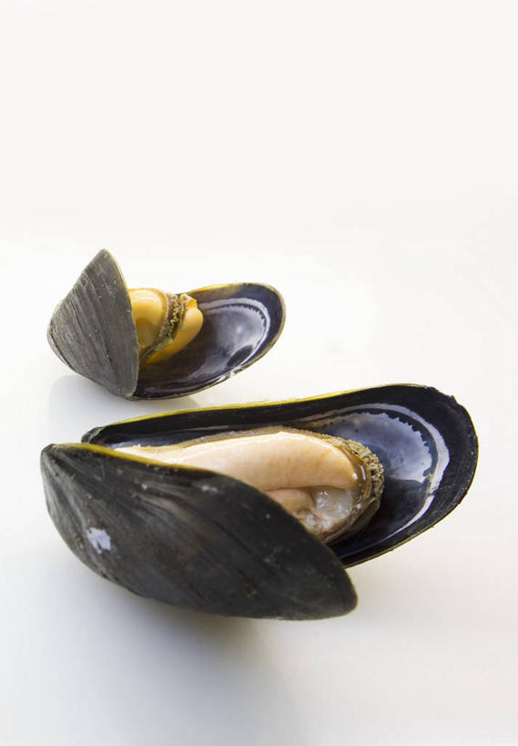 海鲜,无人,竖图,俯视,室内,特写,白天,白色背景,餐桌,桌子,贝壳,阴影,反射,影子,水产,海洋生物,两个,打开,摄影,影棚,餐台,开启,水生动物,海产品,贻贝,水生物,海底动物,海虹,淡菜,壳菜,青口,彩图,高角度拍摄,影棚拍摄,拍摄