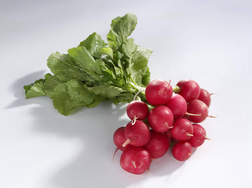 无人,横图,俯视,室内,特写,白天,白色背景,餐桌,桌子,萝卜,蔬菜,叶子,一堆,许多,阴影,堆叠,堆积,新鲜,反射,影子,食品,绿叶,食物,红色,嫩叶,摄影,有机食品,绿色食品,影棚,餐台,堆,大红萝卜,东北红萝卜,叶,叶片,莱菔,红萝卜,彩图,高角度拍摄,影棚拍摄,拍摄