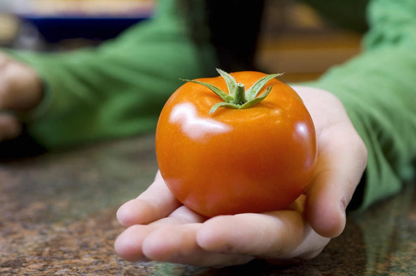 西方人,手,一个人,坐,捧,横图,俯视,室内,特写,白天,餐桌,桌子,蔬菜,西红柿,欧洲,欧洲人,双手,仅一个年轻女性,仅一个女性,仅一个人,阴影,服装,朦胧,模糊,新鲜,反射,影子,食品,休闲装,食物,一个,衣服,绿色,休闲,手部,休闲服,服饰,有机食品,绿色食品,单个,餐台,年轻女性,女人,女性,白种人,番茄,端,端着,捧着,手捧,坐着,半身,彩图,高角度拍摄