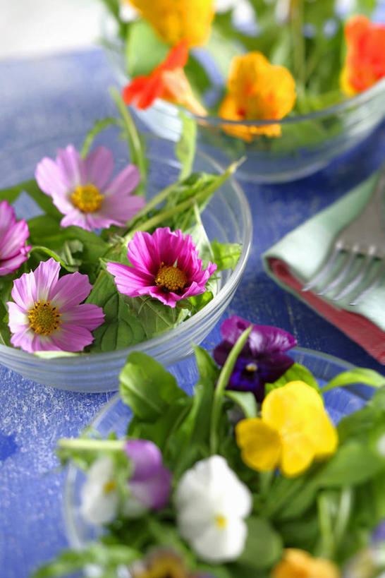 无人,竖图,俯视,室内,特写,白天,幸福,餐桌,桌子,紫罗兰,蔬菜,玻璃,一堆,许多,阴影,堆叠,堆积,朦胧,模糊,新鲜,盛开,反射,影子,生食,蔬菜沙拉,沙拉,食品,清凉,花蕾,色拉,沙律,玻璃制品,花,花瓣,花朵,鲜花,食物,容器,碗,夏天,花苞,花蕊,有机食品,绿色食品,餐台,色拉酱,储藏,堆,储存,千岛酱,豆瓣菜,三色紫罗兰,永恒,质朴,美德,水蔊菜,水田芥菜,水茼蒿,西洋菜,纯爱,草紫罗兰,草桂花,彩图,高角度拍摄,贮存