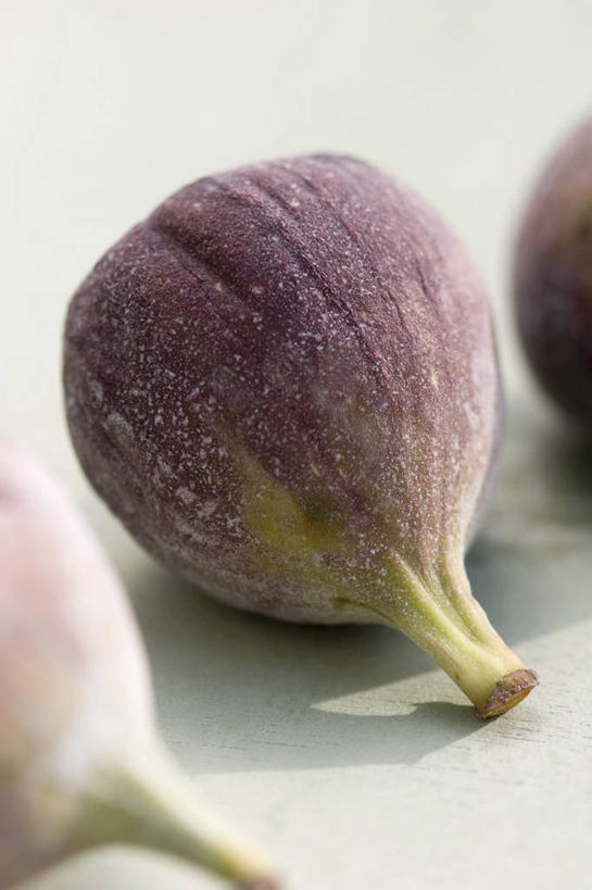 无人,竖图,俯视,室内,特写,白天,白色背景,餐桌,桌子,无花果,水果,一排,阴影,朦胧,模糊,新鲜,整齐,反射,影子,生食,食品,果实,食物,排列,三个,摄影,有机食品,绿色食品,影棚,餐台,队列,映日果,树地瓜,奶浆果,蜜果,彩图,高角度拍摄,影棚拍摄,拍摄