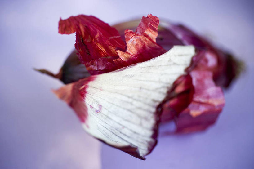 无人,横图,俯视,室内,特写,白天,蔬菜,洋葱,阴影,紫色背景,朦胧,模糊,新鲜,褶皱,反射,影子,陶瓷,食品,陶瓷制品,食物,容器,碗,摄影,有机食品,绿色食品,影棚,储藏,储存,玉葱,圆葱,洋葱头,球葱,葱头,彩图,高角度拍摄,影棚拍摄,拍摄,红洋葱,贮存