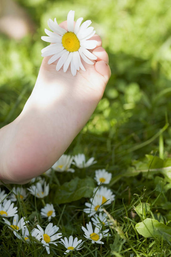 西方人,儿童,腿部,脚,脚趾,脚趾甲,腿,一个人,竖图,俯视,室外,特写,白天,快乐,幸福,纯洁,花海,花圃,植物,叶子,欧洲,欧洲人,仅一个女性,仅一个人,阴影,朦胧,模糊,盛开,光线,影子,玛格丽特,花蕾,光脚,雏菊,花,花瓣,花朵,花卉,鲜花,小孩,绿色,阳光,花丛,花束,花田,花苞,花蕊,仅一个小孩,赤脚,菊花,活力,可爱,童年,童趣,希望,坚强,和平,童真,烂漫,无邪,离别,延命菊,幸福花,春菊,马兰头花,暗恋,纯情,单恋,天真,女孩,女人,女性,白种人,孩子,脚指甲,半身,彩图,高角度拍摄,愉快,女生