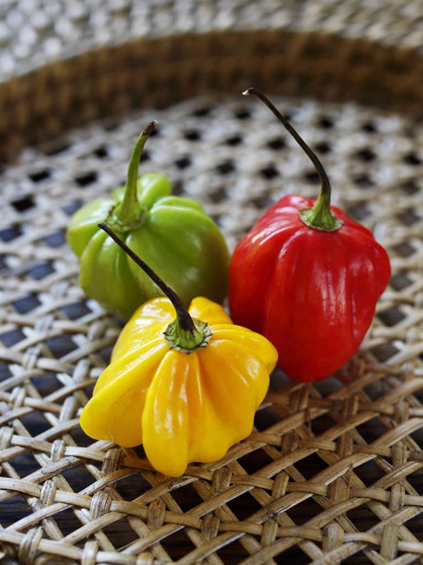 无人,交叉,竖图,俯视,室内,特写,白天,竹子,辣椒,蔬菜,阴影,竹制,朦胧,模糊,新鲜,编织,反射,篮子,影子,食品,食物,三个,黄色,红色,绿色,竹篮,有机食品,绿色食品,竹条,交织,竹制品,彩椒,辣角,红海椒,大椒,辣虎,广椒,穿插,甜椒,柿子椒,辣子,海椒,番椒,灯笼椒,彩图,高角度拍摄