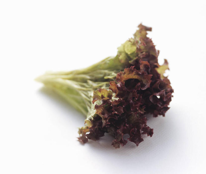 无人,横图,俯视,室内,特写,白天,白色背景,餐桌,桌子,蔬菜,一片,阴影,新鲜,反射,影子,生菜,莴苣,食品,食物,摄影,有机食品,绿色食品,影棚,餐台,春菜,鹅仔菜,莴仔菜,千金菜,叶用莴苣,彩图,高角度拍摄,影棚拍摄,拍摄