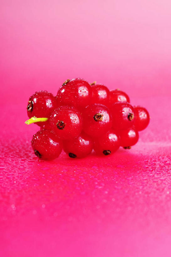无人,竖图,俯视,室内,特写,白天,浆果,水果,许多,阴影,粉色背景,新鲜,反射,影子,灯笼果,生食,食品,果实,食物,摄影,有机食品,绿色食品,影棚,红醋栗,醋栗,彩图,高角度拍摄,影棚拍摄,拍摄
