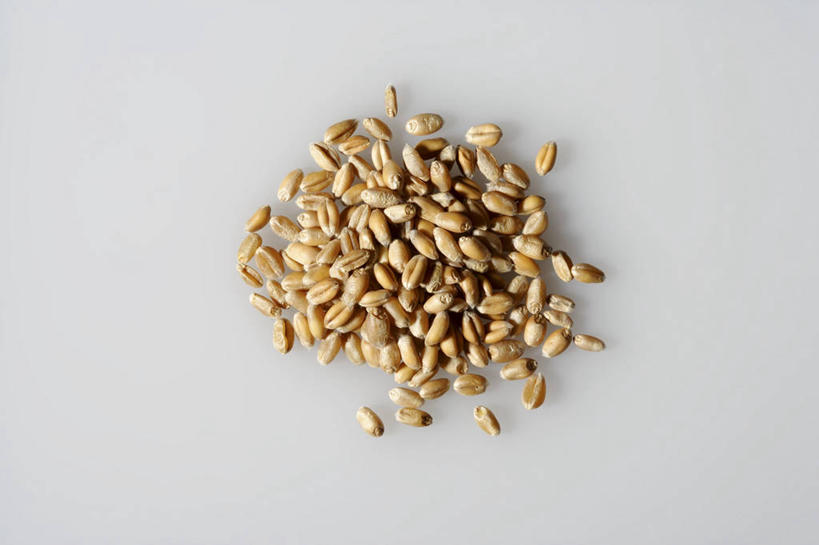 无人,横图,俯视,室内,特写,白天,农作物,小麦,一堆,许多,阴影,堆叠,堆积,灰色背景,朦胧,模糊,反射,影子,谷物,摄影,麦子,影棚,堆,彩图,高角度拍摄,影棚拍摄,拍摄