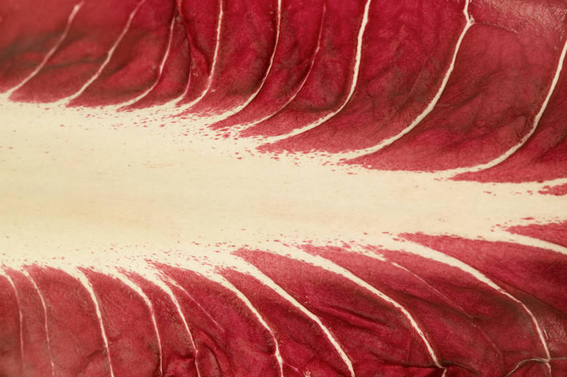 无人,横图,俯视,室内,特写,白天,神秘,蔬菜,一片,阴影,朦胧,模糊,新鲜,反射,影子,菊苣,食品,药草,食物,紫色,有机食品,绿色食品,优美,庄重,高贵,消极,药材,冷色,孤寂,彩图,高角度拍摄,奢华