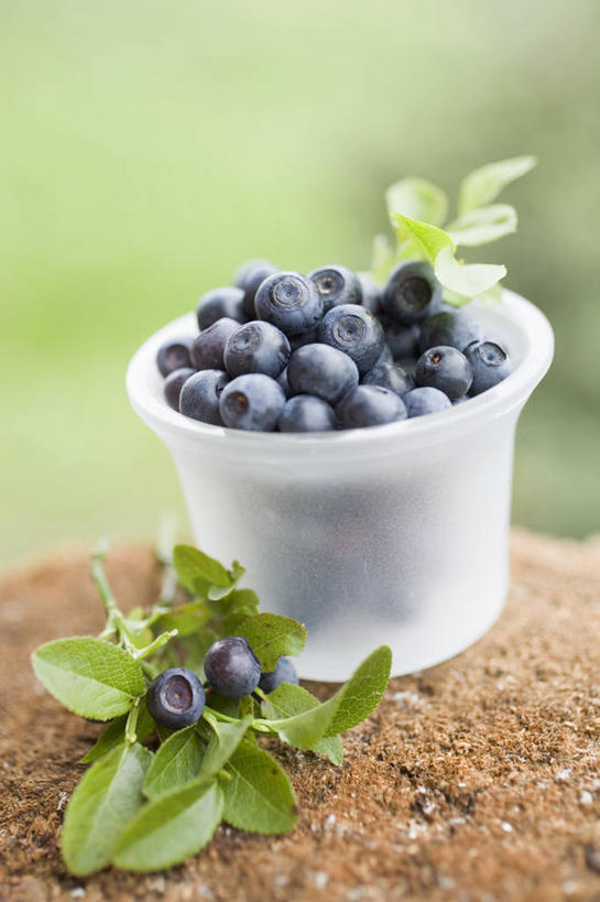 无人,竖图,俯视,室外,特写,白天,草地,草坪,植物,桌面,桌子,浆果,蓝莓,水果,叶子,一堆,许多,阴影,堆叠,堆积,朦胧,模糊,新鲜,反射,木制,影子,塑料,生食,食品,果实,绿叶,草,食物,绿色,木制品,容器,塑料制品,碗,嫩叶,有机食品,绿色食品,储藏,堆,储存,叶,叶片,山都柿,蓝浆果,蓝靛果,彩图,高角度拍摄,贮存