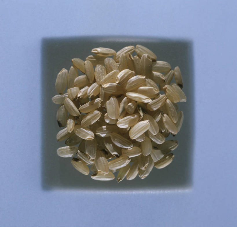 无人,横图,俯视,室内,特写,白天,餐具,一堆,许多,阴影,堆叠,堆积,灰色背景,反射,碟子,盘,影子,谷类,谷物,米,大米,盘子,碟,糙米,摄影,影棚,堆,玄米,彩图,高角度拍摄,影棚拍摄,拍摄