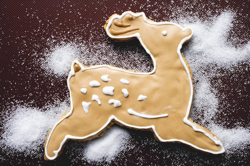 点心,无人,横图,俯视,室内,特写,白天,幸福,哺乳动物,鹿,野生动物,圣诞节,阴影,棕色背景,节日,庆祝,反射,影子,调料,食品,糖,调味品,曲奇,调味料,文化,食物,一只,动物,饼干,零食,庆典,可爱,摄影,活泼,影棚,纪念,吉祥,曲奇饼,曲奇饼干,进取,角鹿,驯鹿,彩图,高角度拍摄,影棚拍摄,拍摄