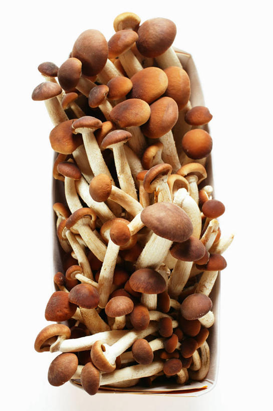 无人,竖图,俯视,室内,特写,白天,白色背景,餐桌,桌子,蔬菜,一堆,许多,阴影,堆叠,堆积,新鲜,反射,影子,纸盒,菌菇,蘑菇,食品,菌类,盒子,食物,一个,包装盒,食用菌,摄影,有机食品,绿色食品,影棚,单个,餐台,堆,彩图,高角度拍摄,影棚拍摄,拍摄