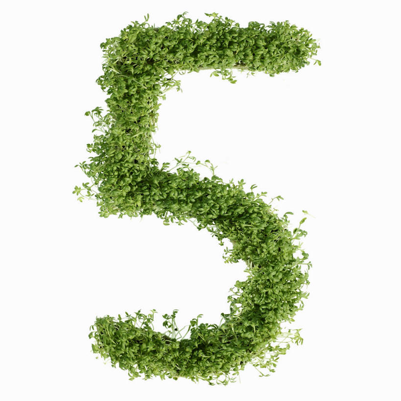 无人,方图,俯视,室内,特写,白天,白色背景,餐桌,桌子,芹菜,蔬菜,阴影,新鲜,反射,标志,数字,文字,影子,字符,食品,标识,食物,摄影,阿拉伯数字,有机食品,绿色食品,影棚,餐台,根芹菜,根洋芹,球根塘蒿,药芹,水芹,旱芹,彩图,高角度拍摄,影棚拍摄,拍摄