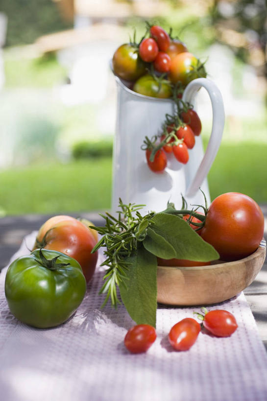 无人,竖图,室外,特写,白天,正面,草地,草坪,植物,餐桌,桌子,蔬菜,西红柿,小番茄,一堆,许多,阴影,堆叠,堆积,朦胧,模糊,新鲜,光线,木制,壶,影子,食品,水壶,草,食物,绿色,阳光,茶壶,木制品,容器,碗,有机食品,绿色食品,餐台,储藏,堆,储存,小西红柿,樱桃小番茄,珍珠小番茄,樱桃番茄,圣女果,番茄,彩图,贮存