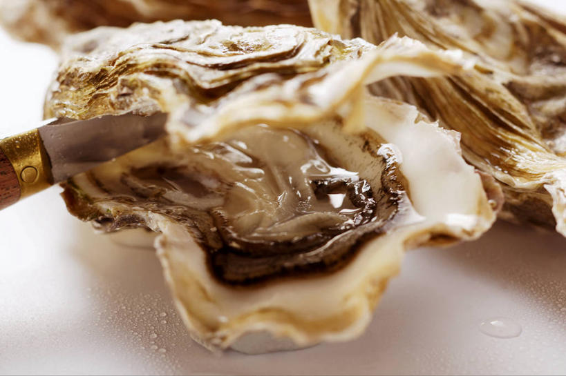 海鲜,无人,横图,俯视,室内,特写,白天,白色背景,餐桌,桌子,阴影,朦胧,模糊,反射,工具,影子,刀具,牡蛎,水产,海洋生物,三个,刀,打开,摄影,影棚,餐台,生蚝,开启,水生动物,海产品,水生物,海底动物,牡蛎刀,彩图,高角度拍摄,影棚拍摄,拍摄