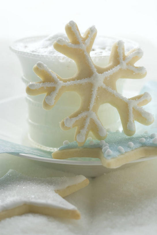 点心,牛奶,无人,竖图,俯视,室内,特写,白天,白色背景,餐桌,桌子,杯子,餐具,圣诞节,阴影,节日,庆祝,反射,碟子,盘,影子,雪花,星星,食品,饮品,曲奇,营养,文化,玻璃制品,食物,饮料,盘子,水杯,碟,饼干,零食,庆典,星形,摄影,影棚,餐台,纪念,乳制品,奶,牛乳,五角形,曲奇饼,曲奇饼干,安神,玻璃杯,五角星,彩图,高角度拍摄,影棚拍摄,拍摄