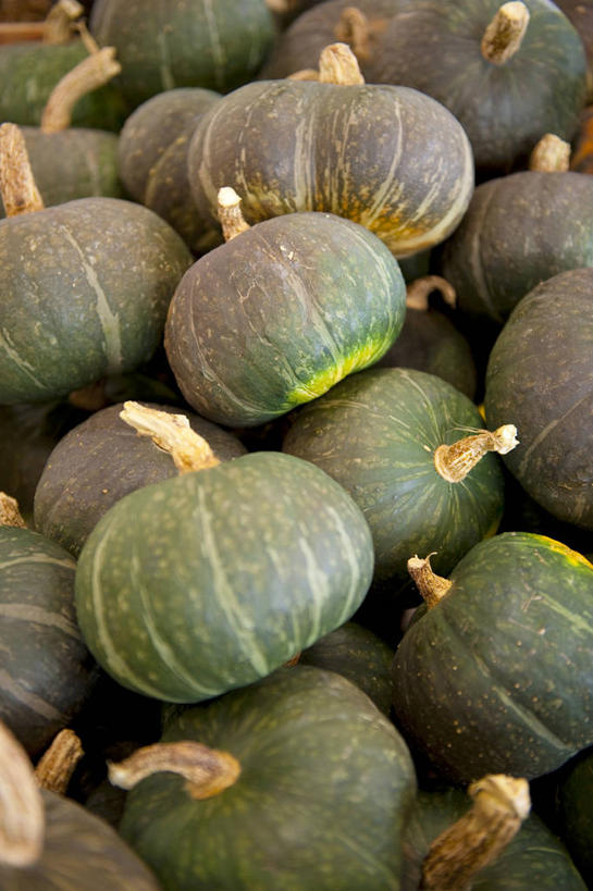 无人,竖图,俯视,室内,特写,白天,南瓜,蔬菜,一堆,许多,阴影,堆叠,堆积,新鲜,反射,影子,金瓜,食品,番瓜,食物,绿色,有机食品,绿色食品,青春,堆,麦瓜,倭瓜,生命,和平,安详,冷色,彩图,高角度拍摄