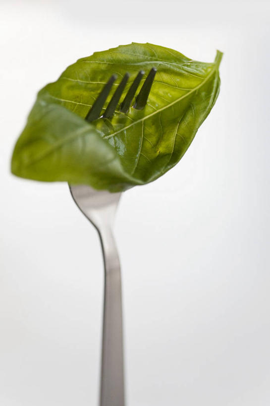 无人,竖图,室内,特写,白天,正面,植物,餐具,叶子,一把,阴影,灰色背景,朦胧,模糊,反射,叉子,影子,香料,绿叶,草药,中药,香草,嫩叶,摄影,影棚,罗勒,紫苏,药材,中草药,餐叉,九层塔,圣约瑟夫草,甜罗勒,兰香,中药材,本草,叶,叶片,进餐用具,彩图,影棚拍摄,拍摄