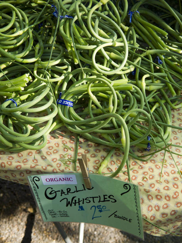 无人,菜场,竖图,俯视,室内,特写,白天,购物,消费,蔬菜,阴影,新鲜,反射,英文,标签,标志,文字,影子,字符,字母,韭菜,食品,集市,市场,标识,货架,架子,食物,金融,有机食品,绿色食品,英文字母,陈列架,选购,贸易,起阳草,韭,山韭,长生韭,超市货架,菜市,彩图,高角度拍摄,菜市场