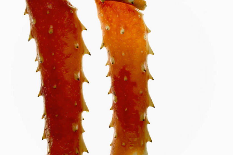 海鲜,腿部,腿,无人,横图,俯视,室内,特写,白天,白色背景,餐桌,桌子,阴影,反射,影子,帝王蟹,水产,海洋生物,两个,红色,摄影,影棚,餐台,水生动物,海产品,水生物,海底动物,皇帝蟹,彩图,高角度拍摄,影棚拍摄,拍摄