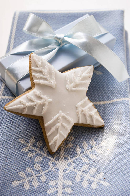 点心,无人,竖图,俯视,室内,特写,白天,白色背景,餐桌,桌子,餐具,礼盒,礼物,阴影,反射,碟子,盘,丝绸,丝带,影子,纸盒,星星,食品,缎带,曲奇,绸带,盒子,食物,蓝色,包装盒,盘子,蝴蝶结,礼品盒,碟,饼干,零食,星形,摄影,礼品,影棚,餐台,五角形,曲奇饼,曲奇饼干,五角星,彩图,高角度拍摄,影棚拍摄,拍摄