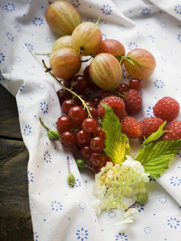 无人,竖图,俯视,室内,特写,白天,植物,桌面,桌子,草莓,浆果,水果,叶子,阴影,新鲜,盛开,反射,木制,影子,灯笼果,生食,食品,果实,绿叶,草药,药草,花蕾,中药,花,花瓣,花朵,鲜花,食物,木制品,花苞,花蕊,嫩叶,有机食品,绿色食品,药材,中草药,红醋栗,接骨木,中药材,本草,草珊瑚,接骨金粟兰,九节茶,九节风,九节花,肿节风,竹节茶,叶,叶片,洋莓,水果皇后,红莓,地莓,醋栗,彩图,高角度拍摄
