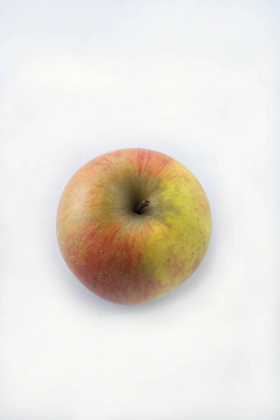 无人,竖图,俯视,室内,特写,白天,白色背景,餐桌,桌子,苹果,水果,阴影,新鲜,反射,影子,生食,食品,果实,食物,一个,摄影,有机食品,绿色食品,影棚,单个,餐台,布瑞本苹果,彩图,高角度拍摄,影棚拍摄,拍摄,布瑞本