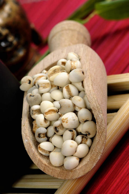 无人,竖图,俯视,室内,特写,白天,桌面,桌子,一堆,许多,阴影,堆叠,堆积,反射,木制,布料,影子,布纹,中药,畚箕,桌布,餐巾,木制品,台布,簸箕,堆,薏米,薏仁,苡米,苡仁,薏苡仁,米仁,彩图,高角度拍摄