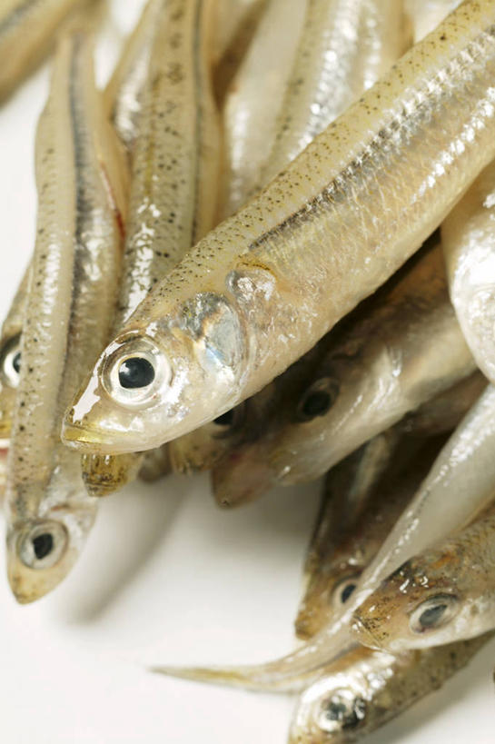 海鲜,无人,竖图,俯视,室内,特写,白天,白色背景,桌面,桌子,阴影,反射,木制,影子,肉,鱼肉,水产,肉类,海洋生物,木制品,摄影,影棚,水生动物,海产品,水生物,肉食,海底动物,彩图,高角度拍摄,影棚拍摄,拍摄