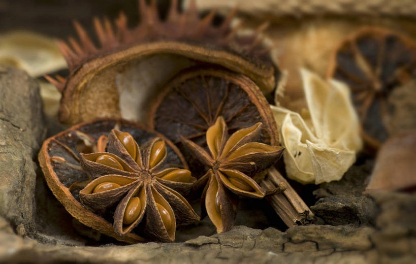 无人,横图,俯视,室内,特写,白天,植物,一堆,许多,阴影,堆叠,堆积,朦胧,模糊,反射,影子,调味,香料,佐料,草药,药草,很多,中药,茴香,堆,八角,八角茴香,大茴香,药材,中草药,茴芹,中药材,本草,八月珠,舶茴香,大料,作料,鹅脚板,异叶茴芹,彩图,高角度拍摄